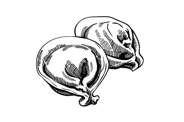 Пельмени Графика