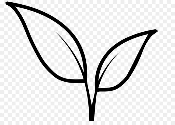 Листик рисунок