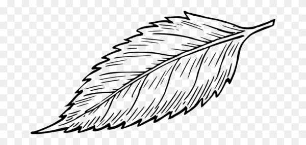 Лист ромашки раскраска