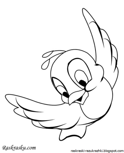 Птичка раскраска