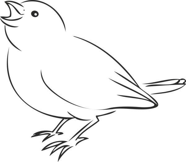 Птица рисунок