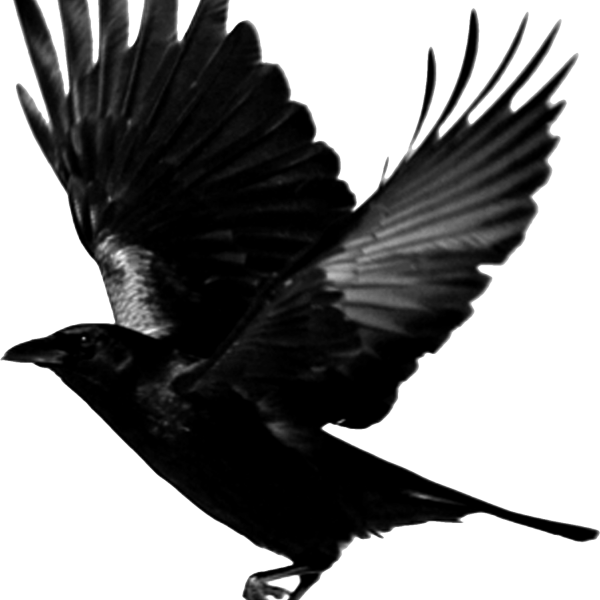 Маска вороненка