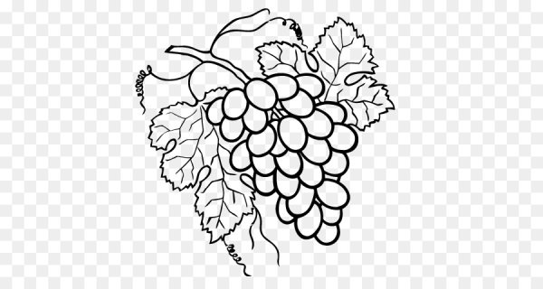 Виноградная лоза