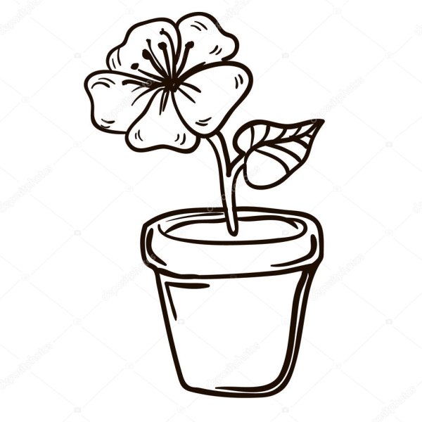 Контур растение в горшк