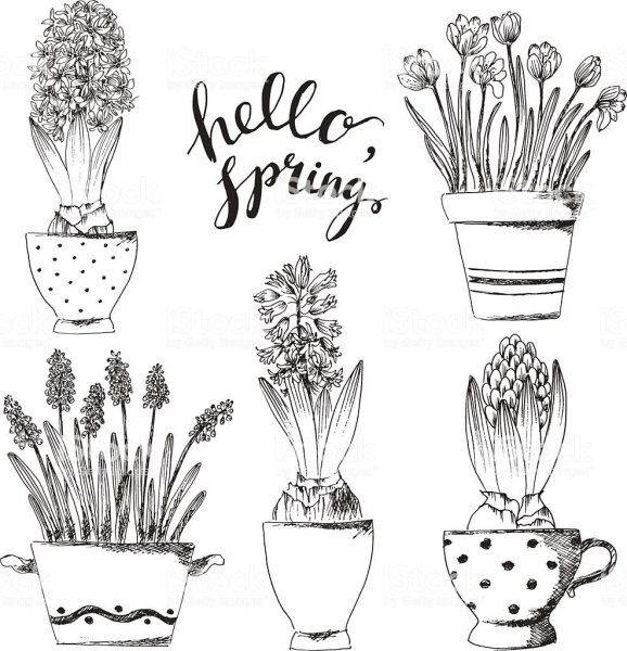 Цветок в горшке эскиз