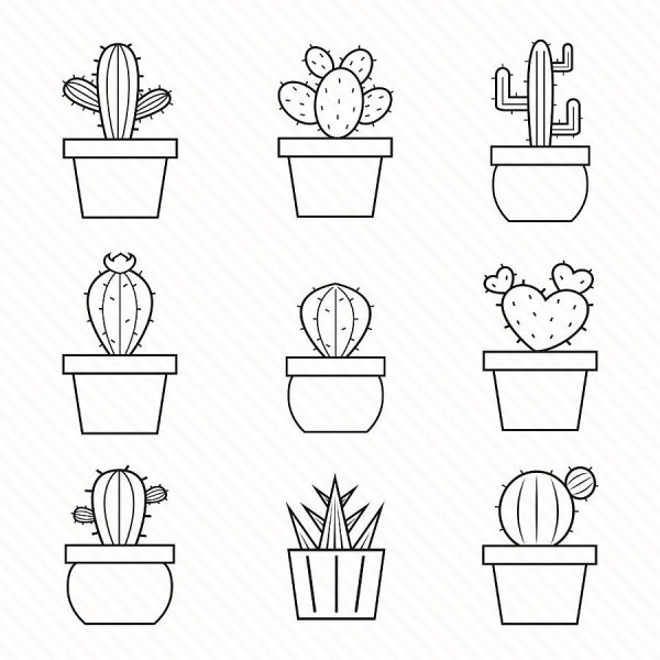 Кактус в горшочке рисунок