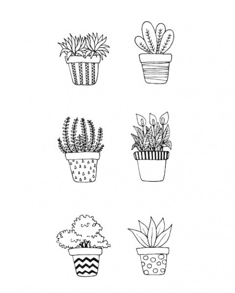 Дудлы цветы в горшке