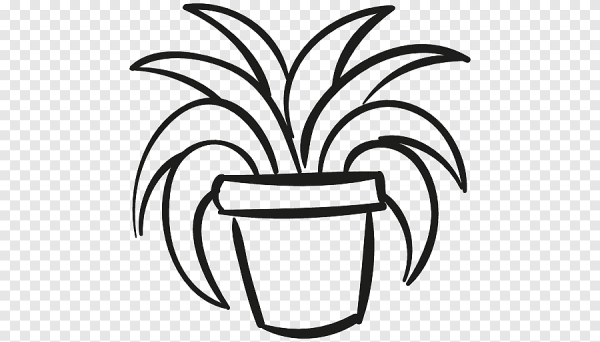 Цветок в горшке черно белый