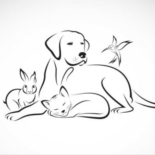 Кошка и собака контур