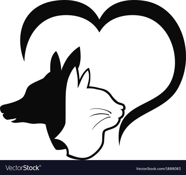 Кошка и собака контур