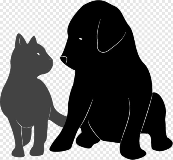 Силуэт собаки и кошки вместе