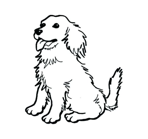 Собака раскраска для детей