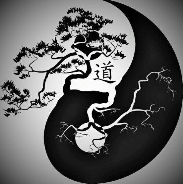 Китайский символ Инь Янь