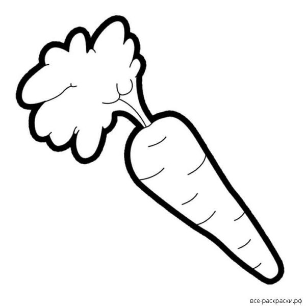 Морковка контур