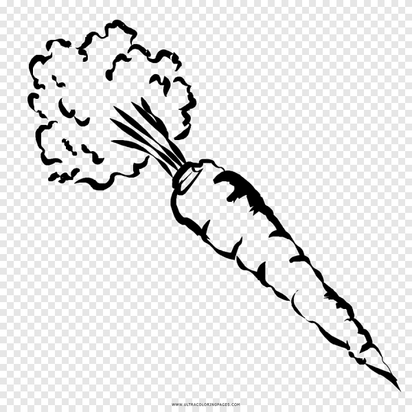 Морковь рисунок