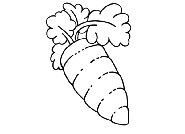 Морковь раскраска для детей