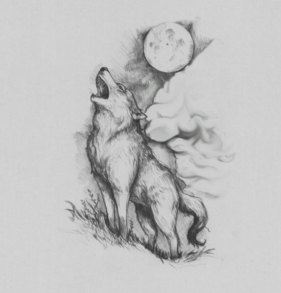 Волк с луной эскиз