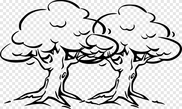 Дуб раскраска для детей