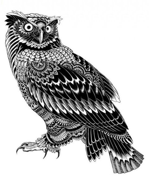 Графика животные