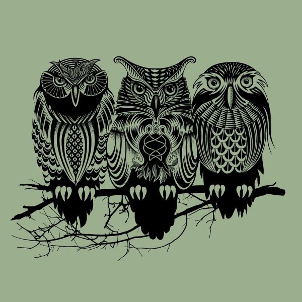 Тату эскиз Сова блэкворк