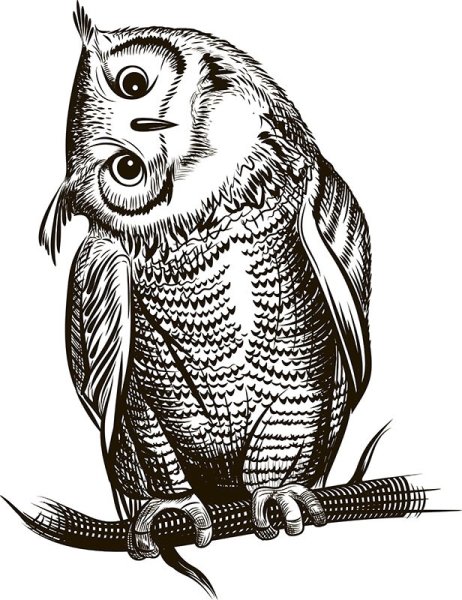 Стилизованное изображение Совы