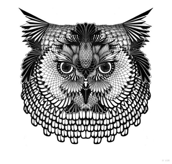 Зентангл Сова