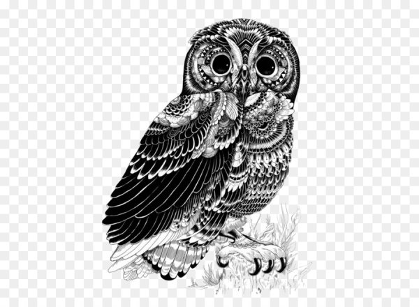 Черно белая Графика