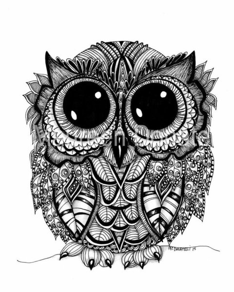 Зентангл Сова
