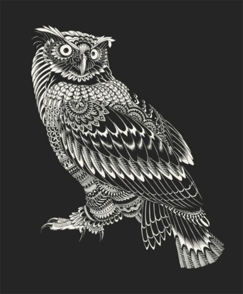 Филин для гравировки