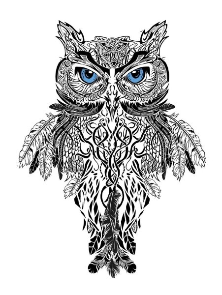 Сова эскиз