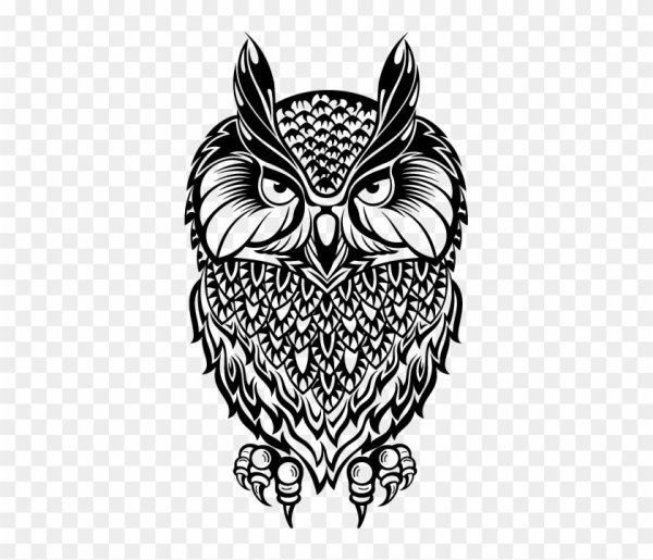 Векторное изображение Совы