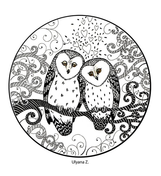 Совенок Графика