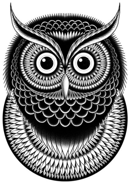 Сова Графика