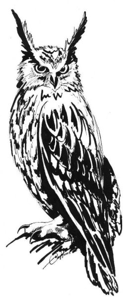 Неясыть Графика черно белая