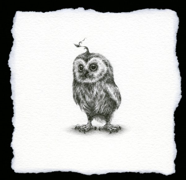 Сова для декупажа черно-белая