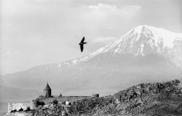 Гора Арарат вектор