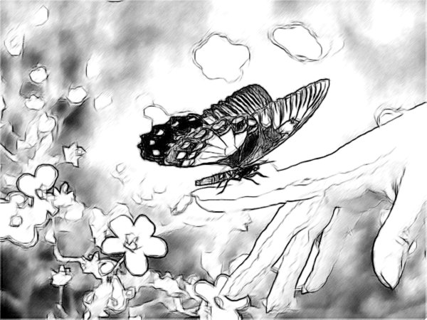 Чёрно-белые рисунки