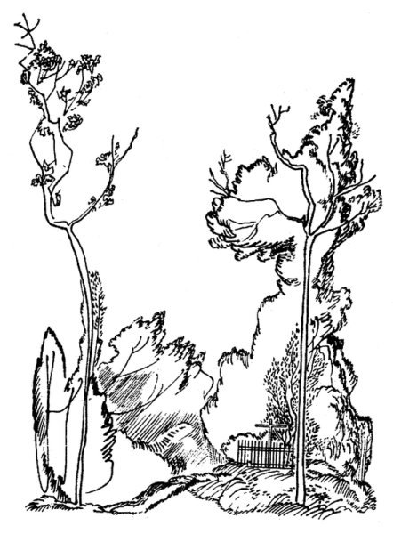 Черно белые иллюстрации к стихам