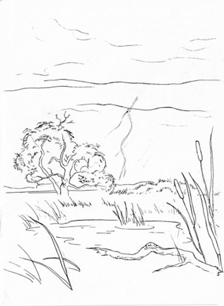 Природа степи раскраска