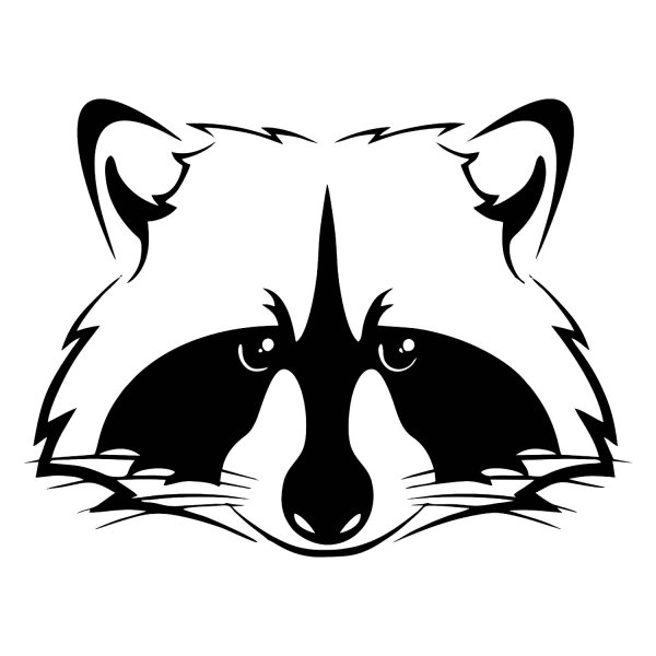 Енот контурный рисунок