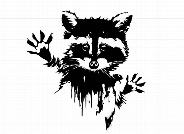 Енот трафарет