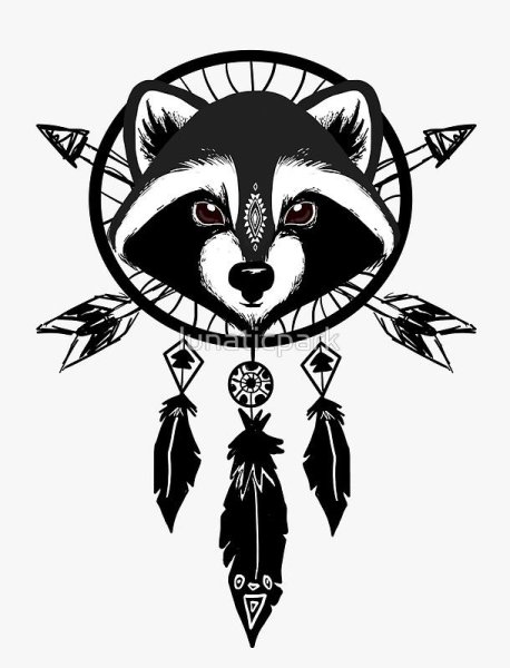 Эскизы енотов