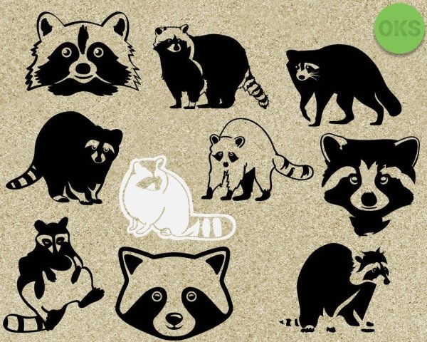 Енот вектор