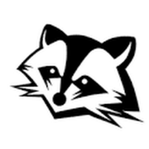 Нарисованная морда енота