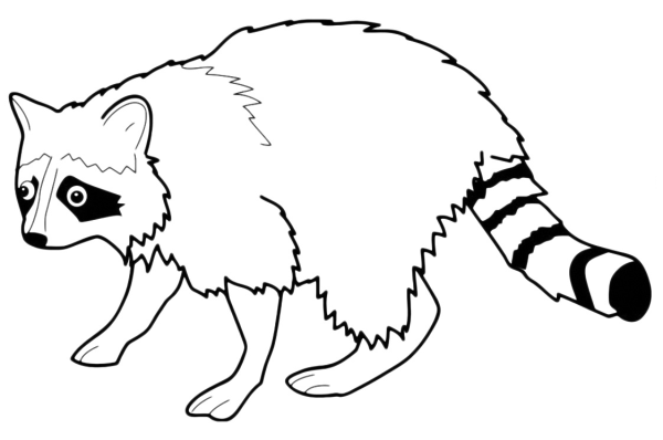 Енот раскраска для детей