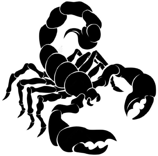 Скорпион вектор