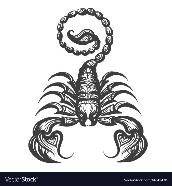 Скорпион вектор