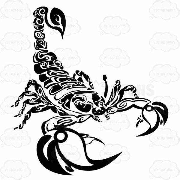 Стилизованный Скорпион