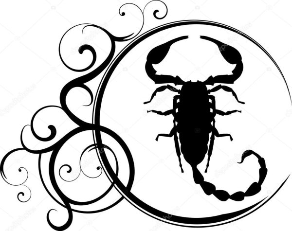 Скорпион знак зодиака силуэт