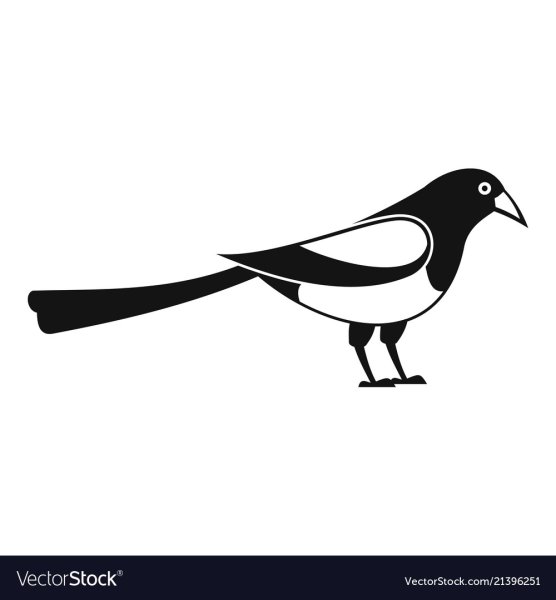 Сорока картинка для детей